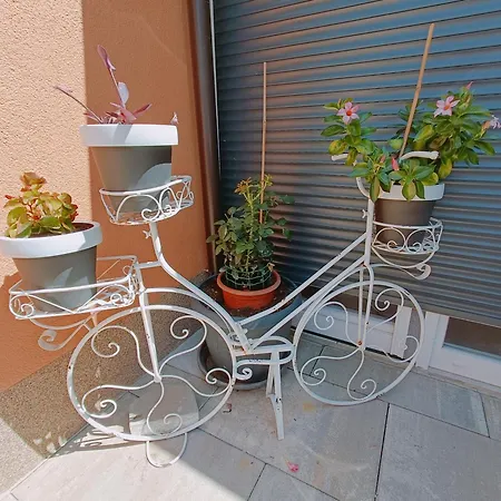 Apartment Slavica *